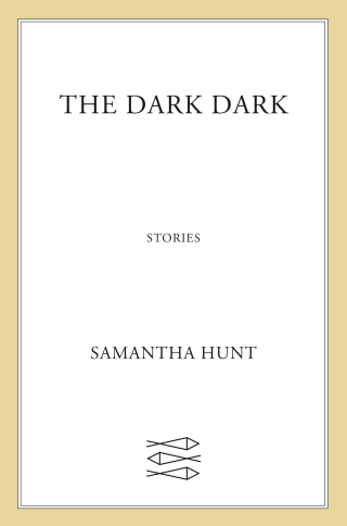 Cover image: The Dark Dark 9780374282134