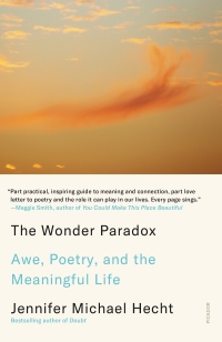 Cover image: The Wonder Paradox 9780374292744
