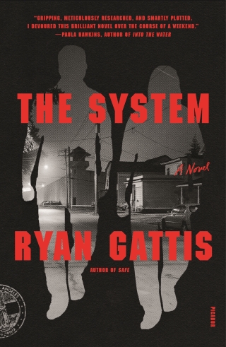 Imagen de portada: The System 9780374130312