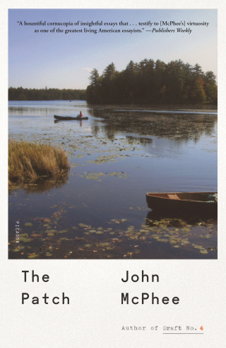 Cover image: The Patch 9780374229481