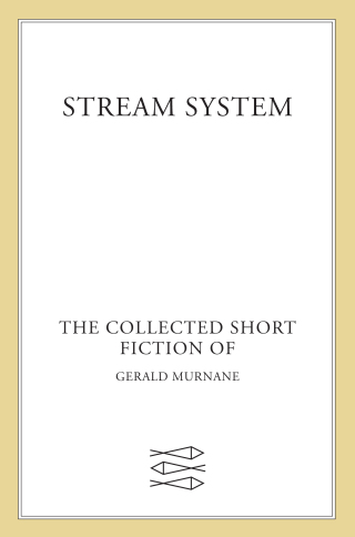 Imagen de portada: Stream System 9780374126001