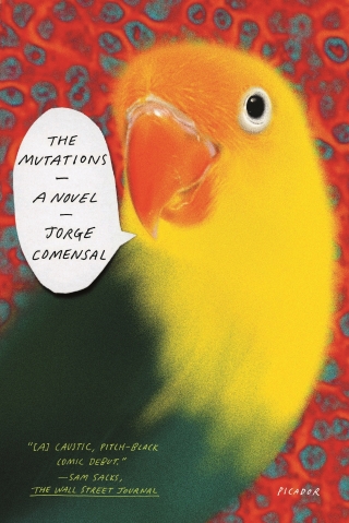 Imagen de portada: The Mutations 9780374216535