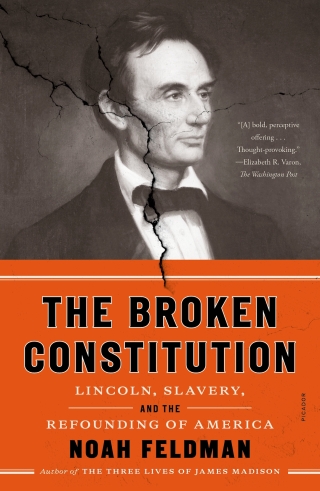 Cover image: The Broken Constitution 9780374116644