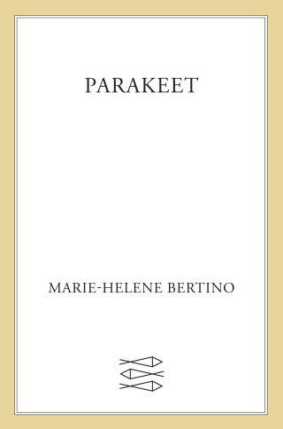 Cover image: Parakeet 9780374229450