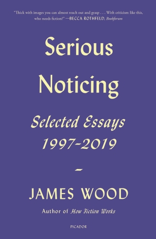 Imagen de portada: Serious Noticing 9780374261160