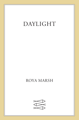 Imagen de portada: dayliGht 9780374538897