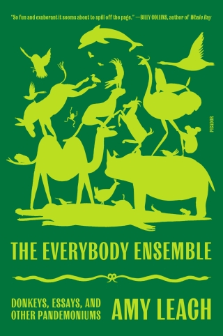 Imagen de portada: The Everybody Ensemble 9780374109660