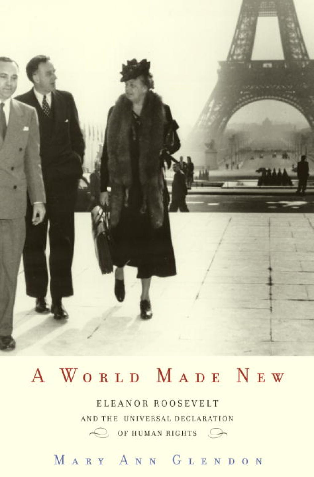 A World Made New Eleanor Roosevelt and the Universal Declaration of Human Rights