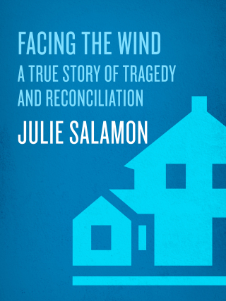 Cover image: Facing the Wind 9780375500220