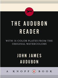 Cover image: The Audubon Reader 9781400043699