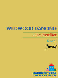 Cover image: Wildwood Dancing 1st edition 9780375844744