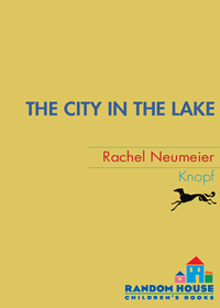 Cover image: The City in the Lake 1st edition 9780375847042