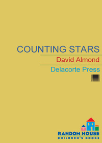 Cover image: Counting Stars 1st edition 9780440418269