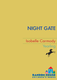 Cover image: Night Gate 9780375830174