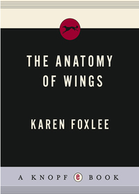 Cover image: The Anatomy of Wings 1st edition 9780375856433