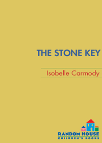 Cover image: The Stone Key 1st edition 9780375857720