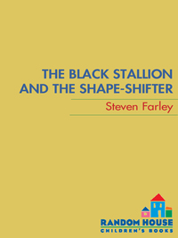 Cover image: The Black Stallion and the Shape-shifter 9780375845314