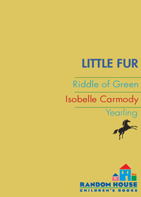 Cover image: Little Fur #4: Riddle of Green 9780375838613