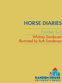 Cover image: Horse Diaries #5: Golden Sun 9780375861949