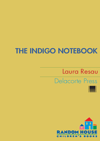 Cover image: The Indigo Notebook 1st edition 9780385736527