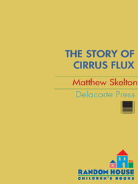 Cover image: The Story of Cirrus Flux 9780385733816