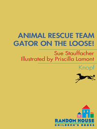 Cover image: Animal Rescue Team: Gator on the Loose! 9780375858475