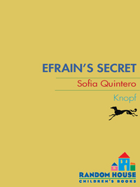 Cover image: Efrain's Secret 1st edition 9780375847066