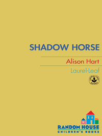 Cover image: Shadow Horse 9780375802638