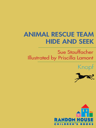Cover image: Animal Rescue Team: Hide and Seek 9780375858499