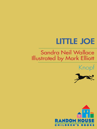 Cover image: Little Joe 9780375860973