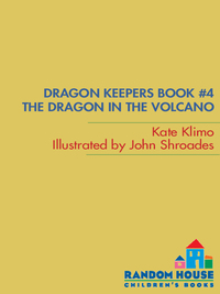Cover image: Dragon Keepers #4: The Dragon in the Volcano 9780375866920
