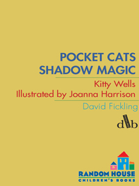 Cover image: Pocket Cats: Shadow Magic 9780385752008