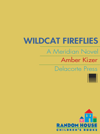 Cover image: Wildcat Fireflies 1st edition 9780385739719