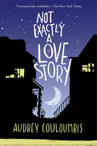 Cover image: Not Exactly a Love Story 1st edition 9780375867835