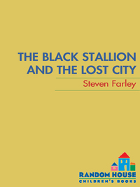 Cover image: The Black Stallion and the Lost City 9780375868375