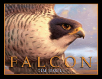 Cover image: Falcon 9780375868665