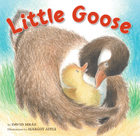 Cover image: Little Goose 9781582461908