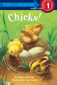 Cover image: Chicks! 9780307932211