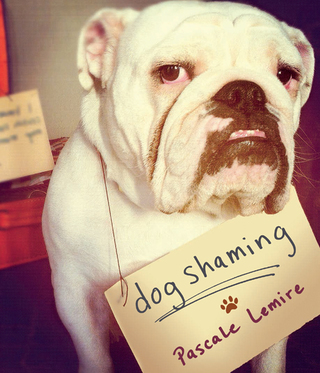 Cover image: Dog Shaming 9780385349345