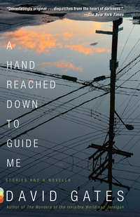 Cover image: A Hand Reached Down to Guide Me 9780385351539