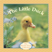 Cover image: The Little Duck 9780394832470