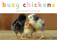 Cover image: Busy Chickens 9781582462752