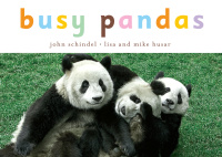 Cover image: Busy Pandas 9781582462592