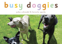 Cover image: Busy Doggies 9781582460901