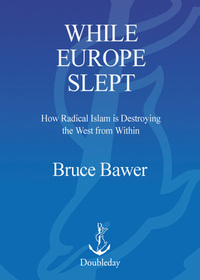 Cover image: While Europe Slept 9780385514729
