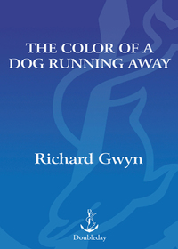 Cover image: The Color of A Dog Running Away 9780385518550