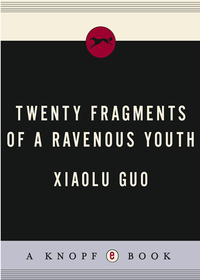 Cover image: Twenty Fragments of a Ravenous Youth 9780385525923