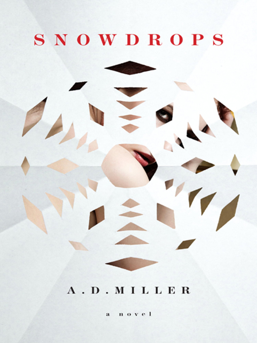 Snowdrops (eBook)