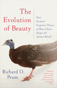 Cover image: The Evolution of Beauty 9780385537216