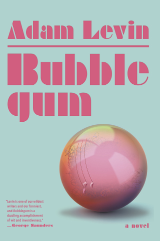 Cover image: Bubblegum 9780385544962